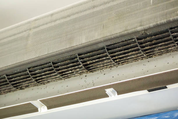 Best Home Air Vent Cleaning  in , ID